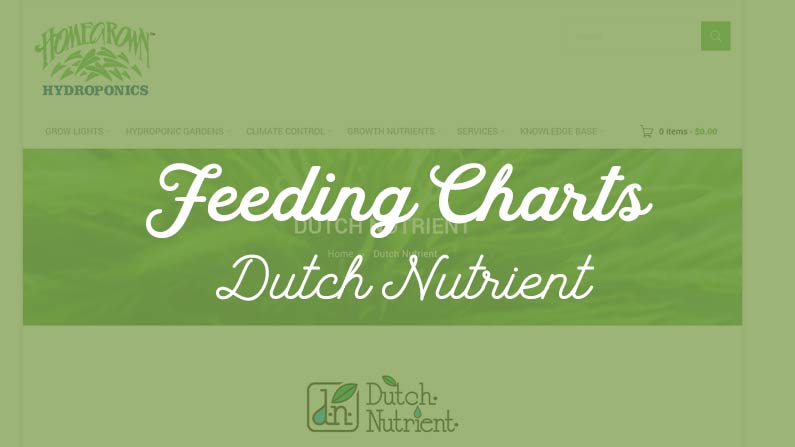 Dutch Nutrient Formula